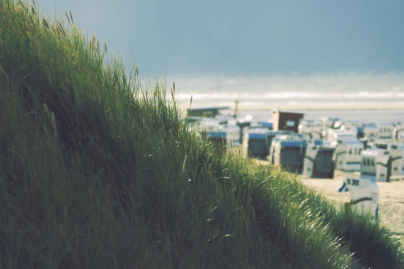 Beachfront Yurt